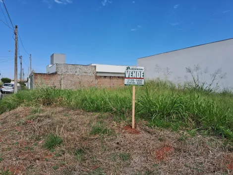 Comprar Terreno / Padr&atilde;o em Bady Bassitt R$ 235.000,00 - Foto 3