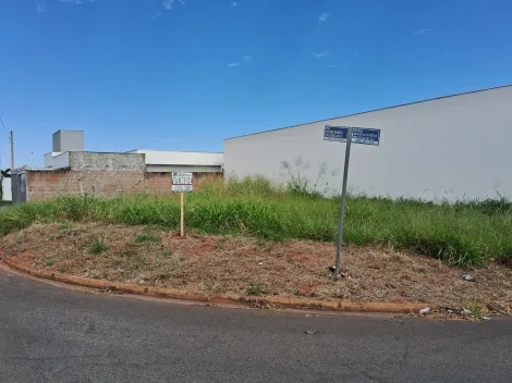 Comprar Terreno / Padr&atilde;o em Bady Bassitt R$ 235.000,00 - Foto 2
