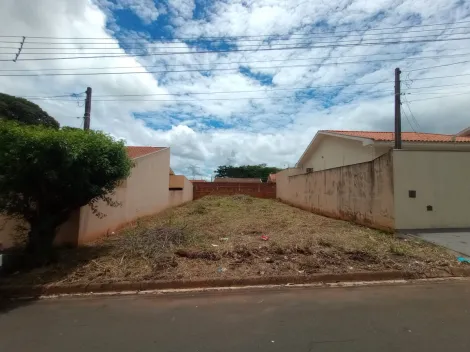 Terreno / Padr&atilde;o em Bady Bassitt 