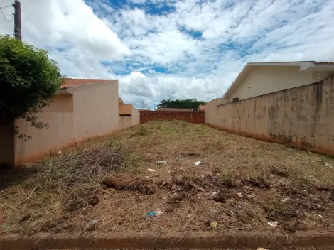 Comprar Terreno / Padr&atilde;o em Bady Bassitt R$ 135.000,00 - Foto 3