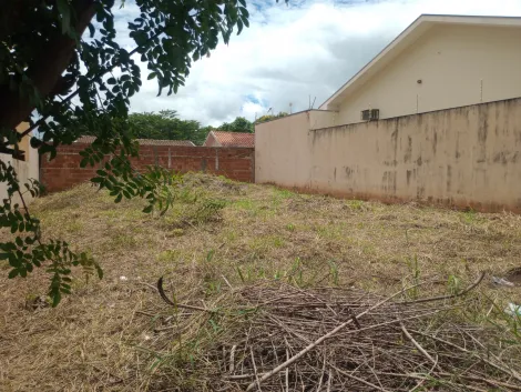 Comprar Terreno / Padr&atilde;o em Bady Bassitt R$ 135.000,00 - Foto 4