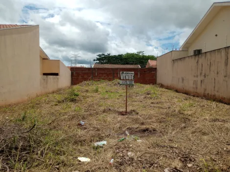 Comprar Terreno / Padr&atilde;o em Bady Bassitt R$ 135.000,00 - Foto 6