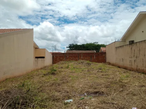 Comprar Terreno / Padr&atilde;o em Bady Bassitt R$ 135.000,00 - Foto 2