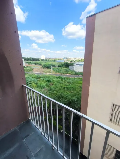 Alugar Apartamento / Padr&atilde;o em S&atilde;o Jos&eacute; do Rio Preto. apenas R$ 1.300,00