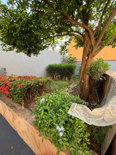 Comprar Casa / Padr&atilde;o em S&atilde;o Jos&eacute; do Rio Preto R$ 500.000,00 - Foto 14