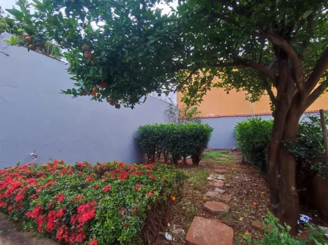 Comprar Casa / Padr&atilde;o em S&atilde;o Jos&eacute; do Rio Preto R$ 550.000,00 - Foto 28