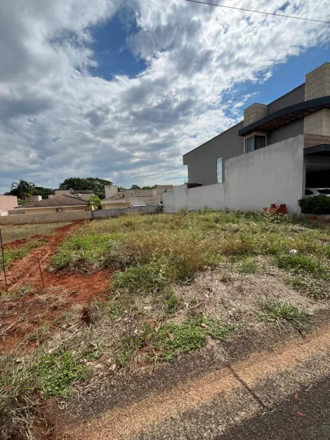 Comprar Terreno / Condom&iacute;nio em S&atilde;o Jos&eacute; do Rio Preto R$ 350.000,00 - Foto 4