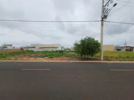 Comprar Terreno / Padr&atilde;o em Bady Bassitt R$ 105.000,00 - Foto 6