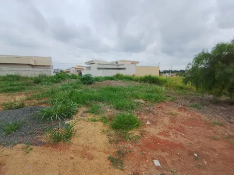 Comprar Terreno / Padr&atilde;o em Bady Bassitt R$ 105.000,00 - Foto 9