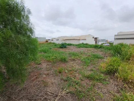 Comprar Terreno / Padr&atilde;o em Bady Bassitt R$ 105.000,00 - Foto 10