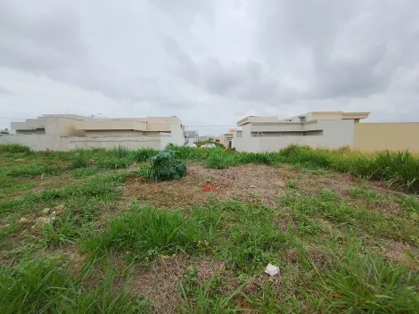Comprar Terreno / Padr&atilde;o em Bady Bassitt R$ 105.000,00 - Foto 11