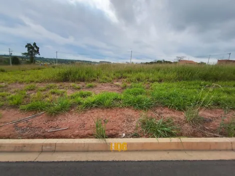 Comprar Terreno / Padr&atilde;o em Bady Bassitt R$ 72.000,00 - Foto 4