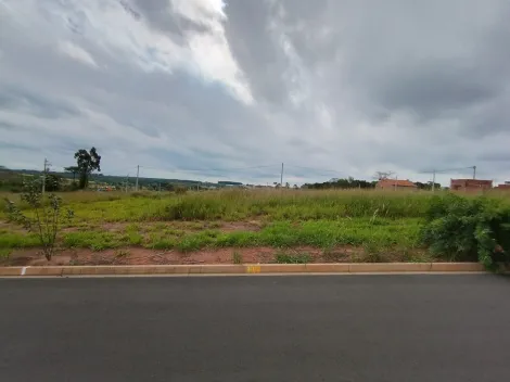 Comprar Terreno / Padr&atilde;o em Bady Bassitt R$ 72.000,00 - Foto 5