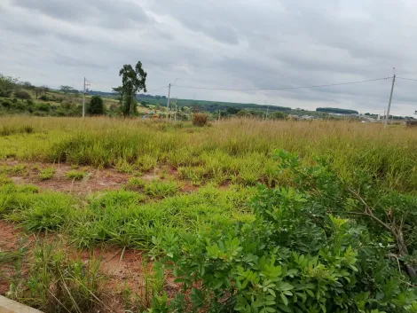 Comprar Terreno / Padr&atilde;o em Bady Bassitt R$ 72.000,00 - Foto 6