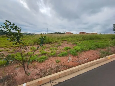 Comprar Terreno / Padr&atilde;o em Bady Bassitt R$ 72.000,00 - Foto 7