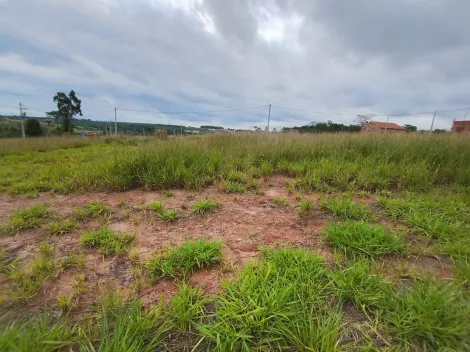 Comprar Terreno / Padr&atilde;o em Bady Bassitt R$ 72.000,00 - Foto 8
