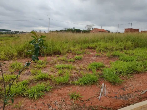 Comprar Terreno / Padr&atilde;o em Bady Bassitt R$ 72.000,00 - Foto 9