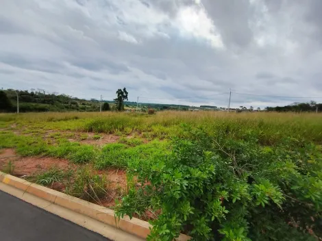 Comprar Terreno / Padr&atilde;o em Bady Bassitt R$ 72.000,00 - Foto 10