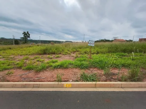 Comprar Terreno / Padr&atilde;o em Bady Bassitt R$ 72.000,00 - Foto 12