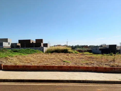 Terreno / Padr&atilde;o em Mirassol 