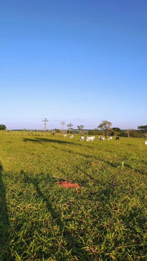 Rural / S&iacute;tio em Fernand&oacute;polis 