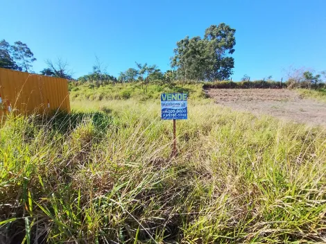 Comprar Terreno / Padr&atilde;o em S&atilde;o Jos&eacute; do Rio Preto R$ 110.000,00 - Foto 11