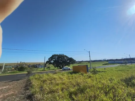 Comprar Terreno / Padr&atilde;o em S&atilde;o Jos&eacute; do Rio Preto R$ 110.000,00 - Foto 9