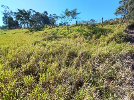 Comprar Terreno / Padr&atilde;o em S&atilde;o Jos&eacute; do Rio Preto R$ 110.000,00 - Foto 7