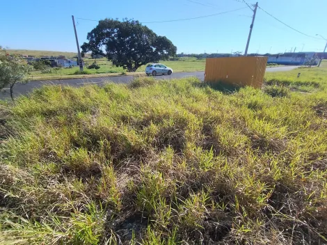 Comprar Terreno / Padr&atilde;o em S&atilde;o Jos&eacute; do Rio Preto R$ 110.000,00 - Foto 6
