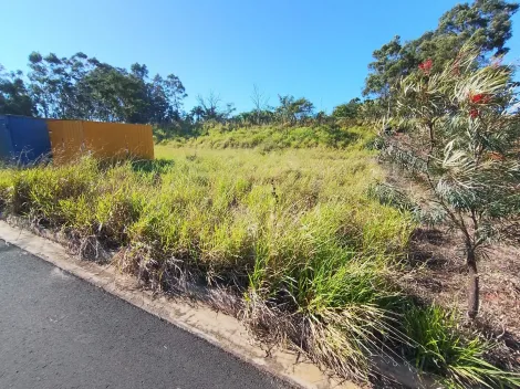 Comprar Terreno / Padr&atilde;o em S&atilde;o Jos&eacute; do Rio Preto R$ 110.000,00 - Foto 4