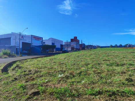 Alugar Terreno / Padr&atilde;o em S&atilde;o Jos&eacute; do Rio Preto R$ 1.800,00 - Foto 8