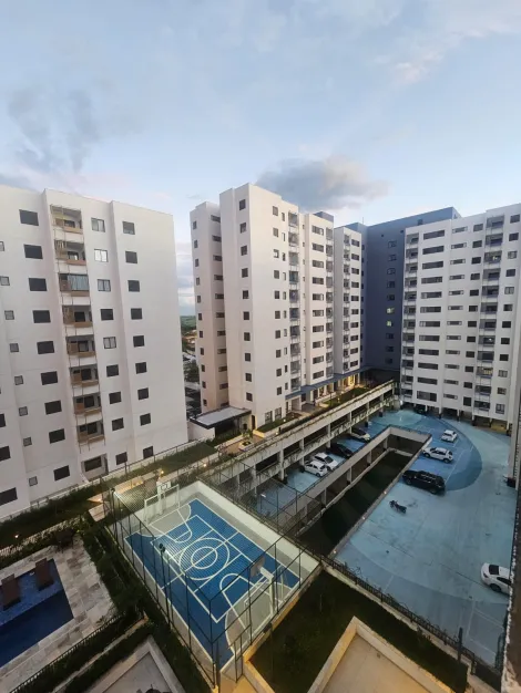 Alugar Apartamento / Padr&atilde;o em S&atilde;o Jos&eacute; do Rio Preto R$ 2.400,00 - Foto 11