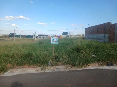 Alugar Terreno / Padr&atilde;o em S&atilde;o Jos&eacute; do Rio Preto. apenas R$ 88.000,00