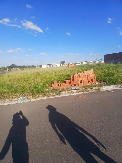 Comprar Terreno / Padr&atilde;o em S&atilde;o Jos&eacute; do Rio Preto R$ 88.000,00 - Foto 4