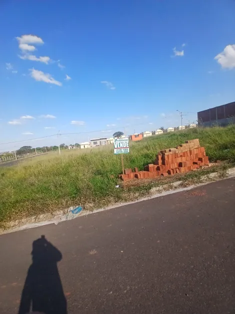 Comprar Terreno / Padr&atilde;o em S&atilde;o Jos&eacute; do Rio Preto R$ 88.000,00 - Foto 5