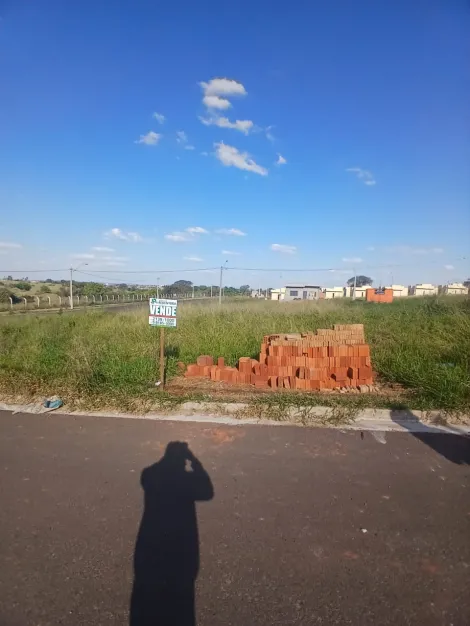 Comprar Terreno / Padr&atilde;o em S&atilde;o Jos&eacute; do Rio Preto R$ 88.000,00 - Foto 7