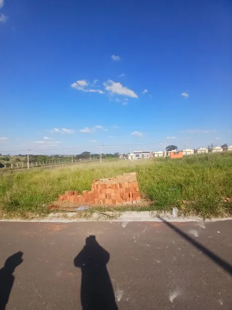 Comprar Terreno / Padr&atilde;o em S&atilde;o Jos&eacute; do Rio Preto R$ 88.000,00 - Foto 8