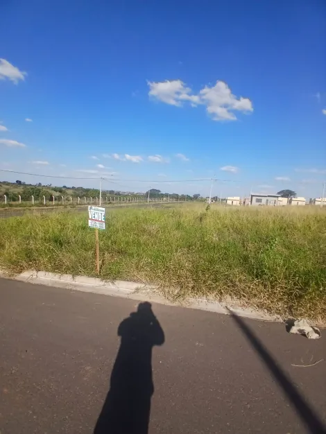 Comprar Terreno / Padr&atilde;o em S&atilde;o Jos&eacute; do Rio Preto R$ 88.000,00 - Foto 2