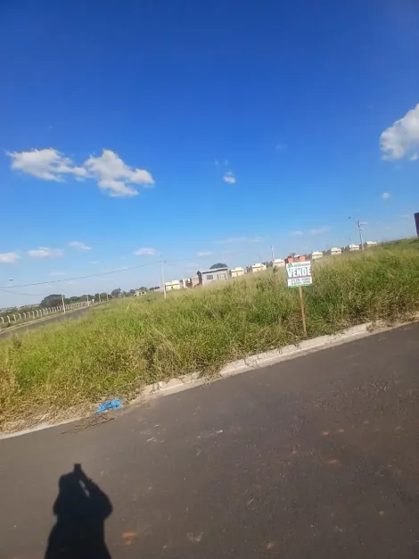 Comprar Terreno / Padr&atilde;o em S&atilde;o Jos&eacute; do Rio Preto R$ 88.000,00 - Foto 4