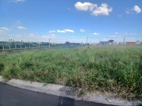 Comprar Terreno / Padr&atilde;o em S&atilde;o Jos&eacute; do Rio Preto R$ 88.000,00 - Foto 5