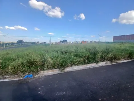 Comprar Terreno / Padr&atilde;o em S&atilde;o Jos&eacute; do Rio Preto R$ 88.000,00 - Foto 6