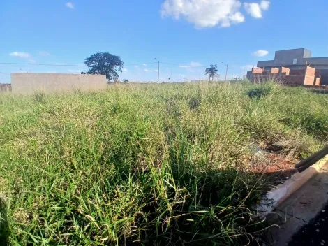 Alugar Terreno / Padr&atilde;o em S&atilde;o Jos&eacute; do Rio Preto. apenas R$ 88.000,00