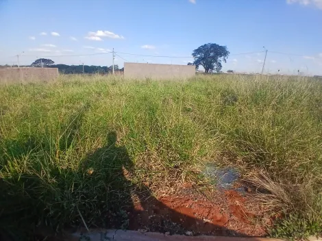Comprar Terreno / Padr&atilde;o em S&atilde;o Jos&eacute; do Rio Preto R$ 88.000,00 - Foto 2