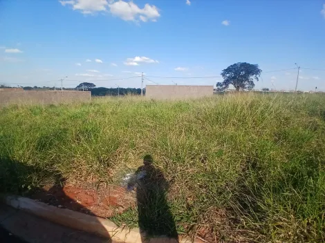 Comprar Terreno / Padr&atilde;o em S&atilde;o Jos&eacute; do Rio Preto R$ 88.000,00 - Foto 3