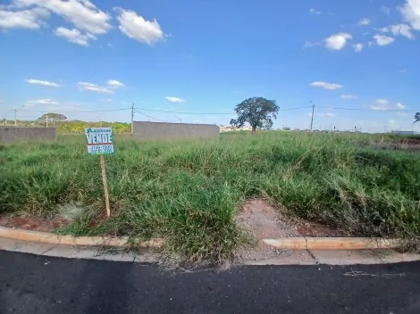Comprar Terreno / Padr&atilde;o em S&atilde;o Jos&eacute; do Rio Preto R$ 88.000,00 - Foto 6