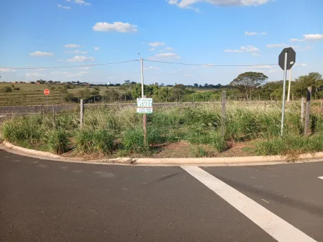 Alugar Terreno / Padr&atilde;o em S&atilde;o Jos&eacute; do Rio Preto. apenas R$ 113.000,00
