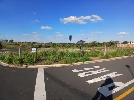Comprar Terreno / Padr&atilde;o em S&atilde;o Jos&eacute; do Rio Preto R$ 113.000,00 - Foto 3