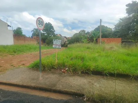 Comprar Terreno / Padr&atilde;o em S&atilde;o Jos&eacute; do Rio Preto R$ 100.000,00 - Foto 2