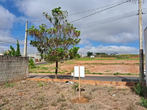 Comprar Terreno / Padr&atilde;o em Mirassol R$ 180.000,00 - Foto 8