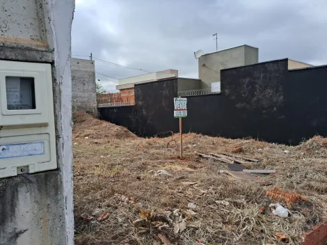 Comprar Terreno / Padr&atilde;o em Mirassol R$ 110.000,00 - Foto 2